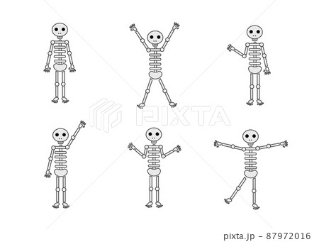 がいこつ イラストセット がいこつ イラストセット 87972016