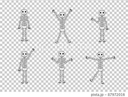 がいこつ イラストセット がいこつ イラストセット 87972016