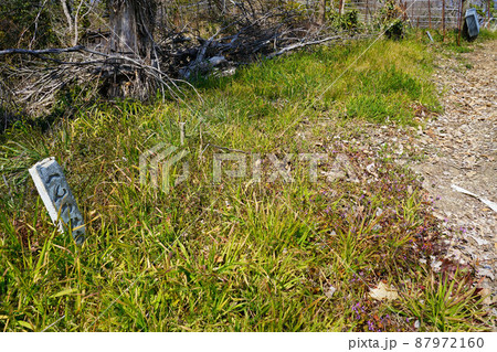 島四国の遍路道の道しるべ　岡山県笠岡市真鍋島 87972160