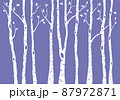 birch tree forest, vector background illustration 87972871