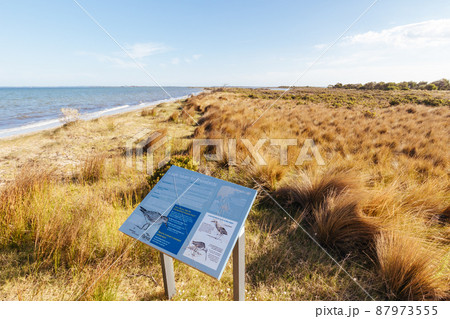 Edwards Point Wildlife Reserve in Australia Edwards Point Wildlife Reserve in Australia 87973555