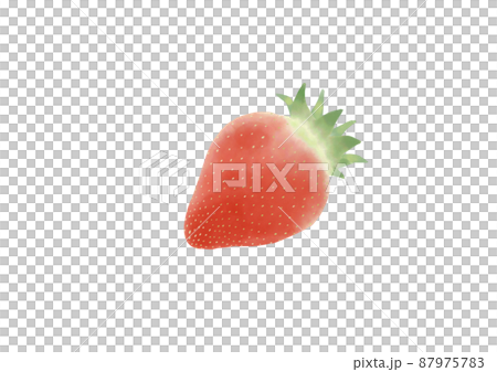 Hand drawn watercolor illustration of red strawberry Hand drawn watercolor illustration of red strawberry 87975783