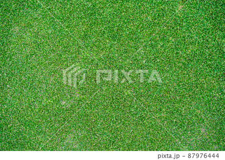 top view background of garden bright grass concept used for making green backdrop, lawn for sports field, golf course lawn green striped texture background. 87976444
