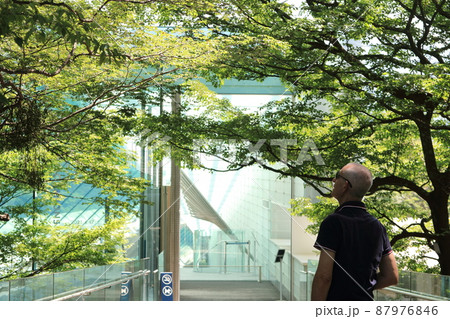 ポーラ美術館の入り口に向かう来客者 87976846