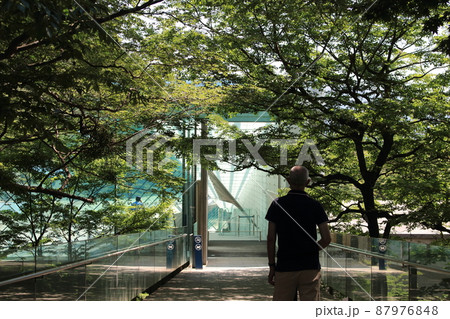 ポーラ美術館の入り口に向かう来客者 ポーラ美術館の入り口に向かう来客者 87976848