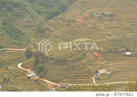 Y LINH HO村棚田 Y LINH HO村棚田 87977662