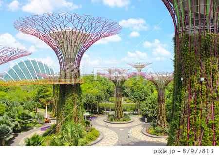 シンガポールのガーデンズバイザベイ シンガポールのガーデンズバイザベイ 87977813