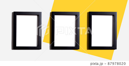 Blank rectangle picture frames 87978020