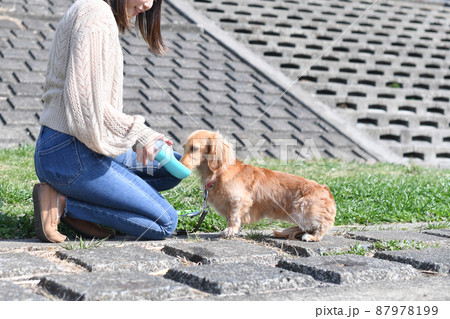 ハンディウォーターボトルで犬（ペット）に水をあげる飼い主 87978199
