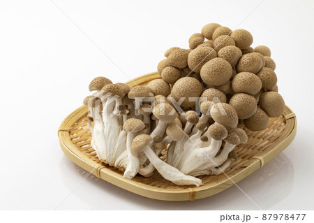 ザルに乗せたぶなしめじ_白バック 87978477