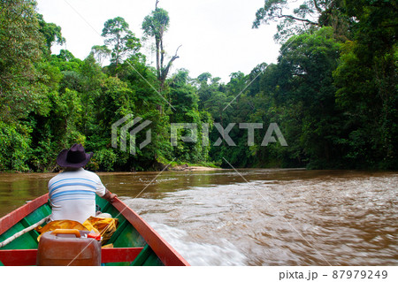 Boat ride through the deep jungle of Borneo Boat ride through the deep jungle of Borneo 87979249