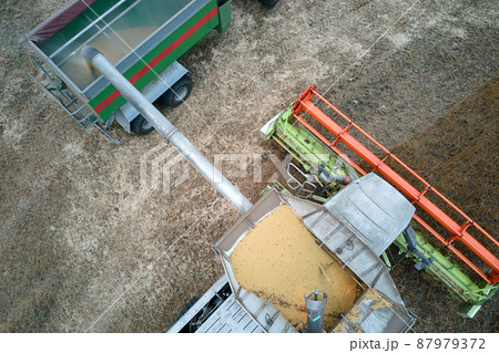 Aerial view of combine harvester unloading grain in cargo trailer working during harvesting season on large ripe wheat field. Agriculture and transportation of raw farm products concept Aerial view of combine harvester unloading grain in cargo trailer working during harvesting season on large ripe wheat field. Agriculture and transportation of raw farm products concept 87979372