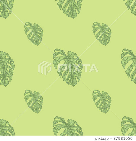 Monstera leaf seamless pattern.Vintage tropical branch in engraving style. 87981056