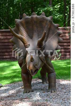 Dino Park Triceratops huge dinosaur of Jurassic era walks in the forest in summer on a sunny day. 87981886