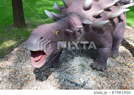 Ankylosaurus, Prehistoric reptile, in Dinosaur Park Ankylosaurus, Prehistoric reptile, in Dinosaur Park 87981900