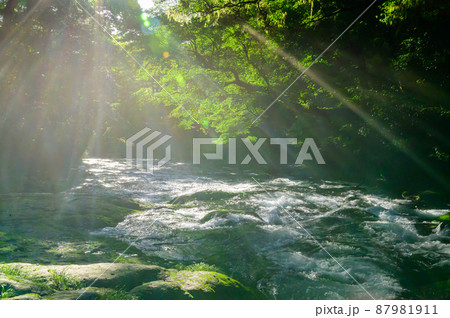 菊池渓谷「新緑の光芒イメージ風景」2021年(新緑)(観光名所)Kikuchi Gorge 菊池渓谷「新緑の光芒イメージ風景」2021年(新緑)(観光名所)Kikuchi Gorge 87981911