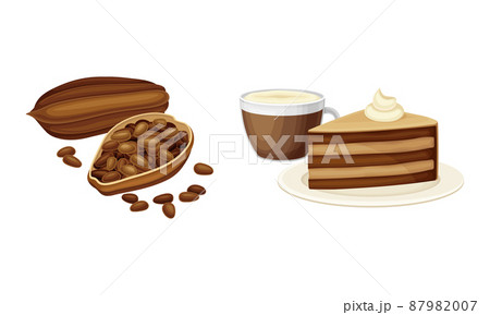 Cocoa products set. Dried beans, chocolate cake, cup of hot drink vector illustration 87982007