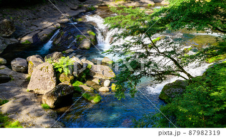 菊池渓谷「新緑・渓谷風景」2021年(新緑)(観光名所)Kikuchi Gorge　 87982319