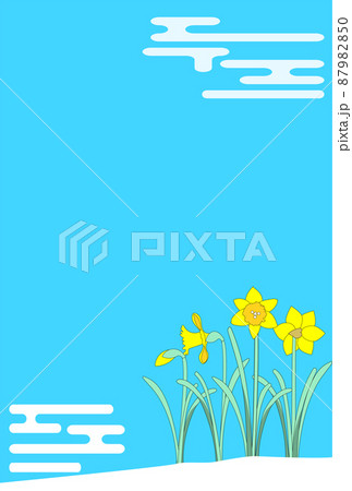ラッパスイセンの花畑の背景　青空 87982850