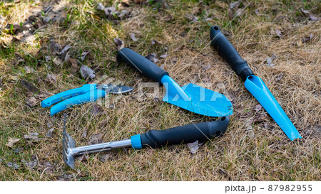 Top view of a pruner rake and a gardener's shovel with blue handles on the grass. A set of tools for working in the garden Top view of a pruner rake and a gardener's shovel with blue handles on the grass. A set of tools for working in the garden 87982955