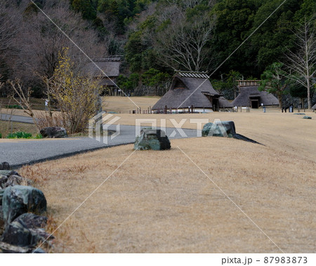 阿波史跡公園の遊歩道 阿波史跡公園の遊歩道 87983873
