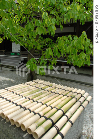 京都御所　庭の井戸　京都市上京区 87983895