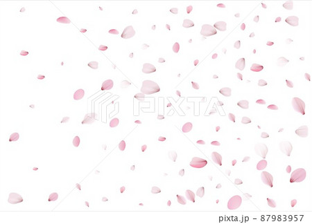 Cherry petals backdrop. Sakura petals background. Cherry petals backdrop. Sakura petals background. 87983957