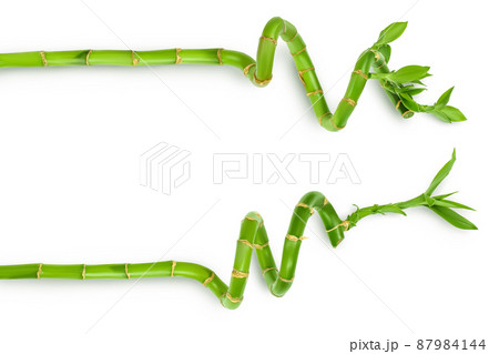 Green bamboo isolated on white background with clipping path and full depth of field. Top view. Flat lay 87984144