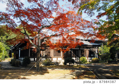 秋の日野誕生院　回廊と本堂　京都市伏見区 87984387