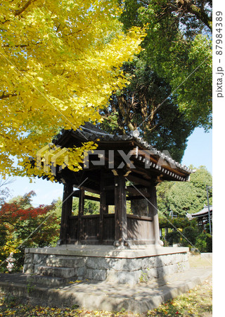 秋の日野誕生院 鐘楼 京都市伏見区 秋の日野誕生院 鐘楼 京都市伏見区 87984389