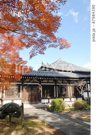 秋の日野誕生院 回廊と本堂 京都市伏見区 秋の日野誕生院 回廊と本堂 京都市伏見区 87984390