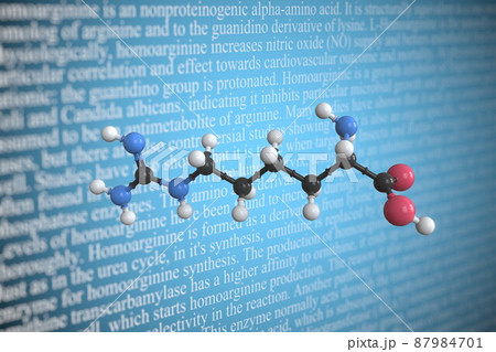 Homoarginine scientific molecular model, 3D rendering Homoarginine scientific molecular model, 3D rendering 87984701