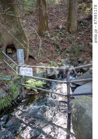 箱島湧水　群馬県東吾妻町 87985178