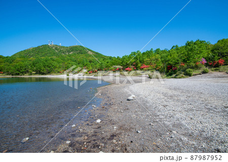 赤城公園　小沼湖畔から地蔵岳の眺め　初夏の風景　　　 87987952