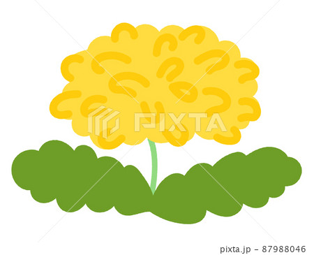 春の植物 たんぽぽの花 シンプルでかわいいイラスト アウトラインなし のイラスト素材