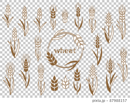 小麦や大麦をイメージしたアイコンのイラストのセットのイラスト