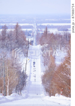 真冬の天に続く道 87988754