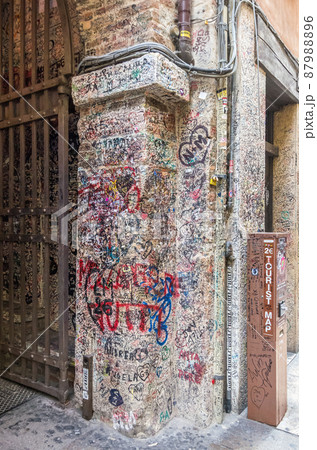 新品】ヴェローナ ジュリエットの家 絵画 ヴェローナ：イタリア研究滞在記