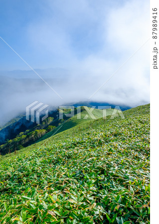 信州ビーナスライン・三峰山トレッキング (山頂の景色) 信州ビーナスライン・三峰山トレッキング (山頂の景色) 87989416