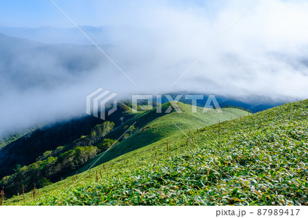 信州ビーナスライン・三峰山トレッキング (山頂の景色) 信州ビーナスライン・三峰山トレッキング (山頂の景色) 87989417