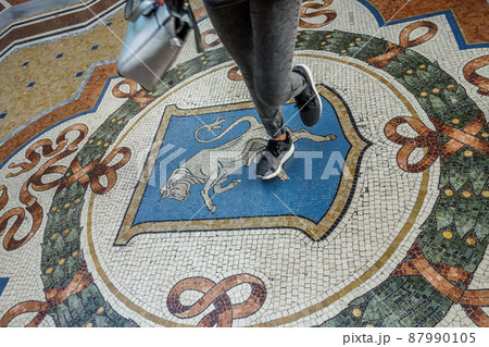 幸せを呼ぶ牡牛のモザイク 幸せを呼ぶ牡牛のモザイク 87990105