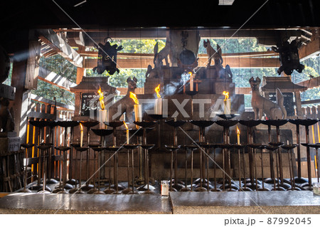 伏見稲荷大社 熊鷹社 伏見稲荷大社 熊鷹社 87992045