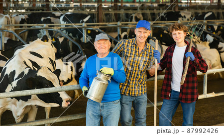 Three milk farm workers in cowhouse Three milk farm workers in cowhouse 87992426