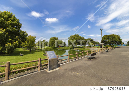 鹿窪運動公園 87993053