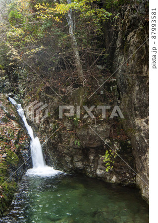 ミタライ渓谷弥山登山道晩秋風景-23 ミタライ渓谷弥山登山道晩秋風景-23 87993581