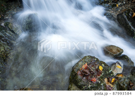 ミタライ渓谷弥山登山道晩秋風景-26 87993584
