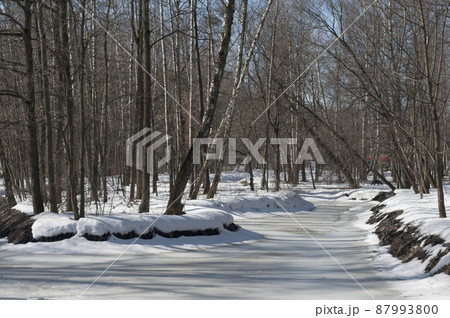 Early spring in a park Early spring in a park 87993800