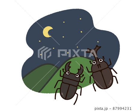 山の景色と夏の昆虫　夜　カブトムシ　クワガタムシ 87994231