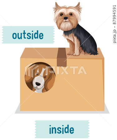Prepostion wordcard design with dogs and box 87994591