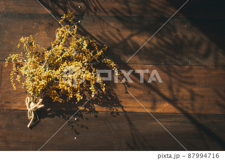 ミモザと背景画像　サムネイル素材 87994716